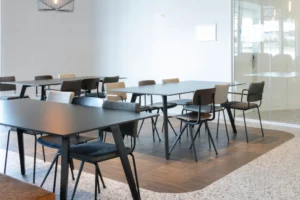 RMZ Ecoworld Managed Office spaces IN Office space RMZ Ecoworld Bangalore BANGALORE