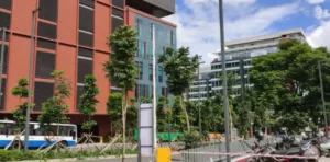 BAGMANE TECH PARK Managed Office spaces IN Bagmane Tech Park BANGALORE